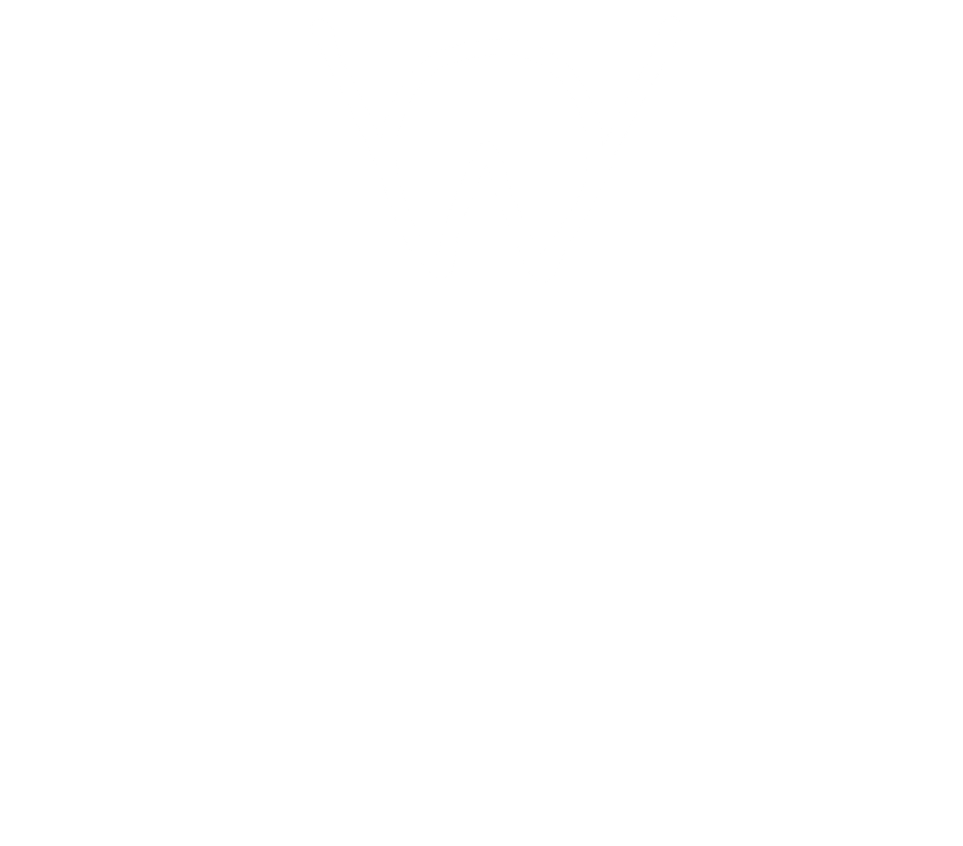 Wildpony Hufpflege Logo